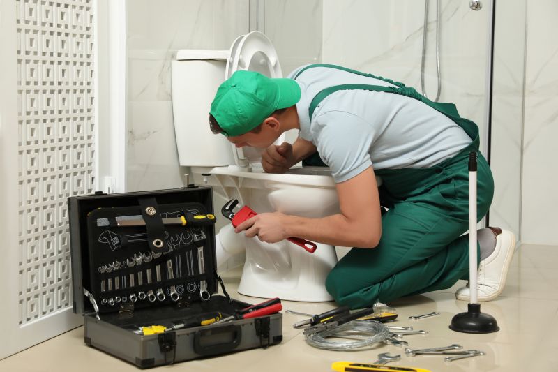 Commercial Toilet Repair detail