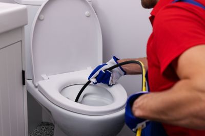 Toilet Plunging detail
